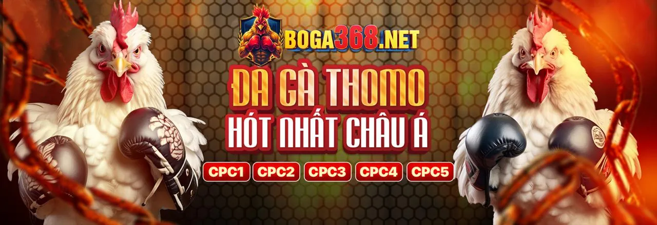 Hình ảnh Điều khoản chung của Tải 39BET9