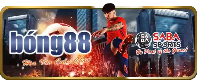 Câu hỏi Thường Gặp